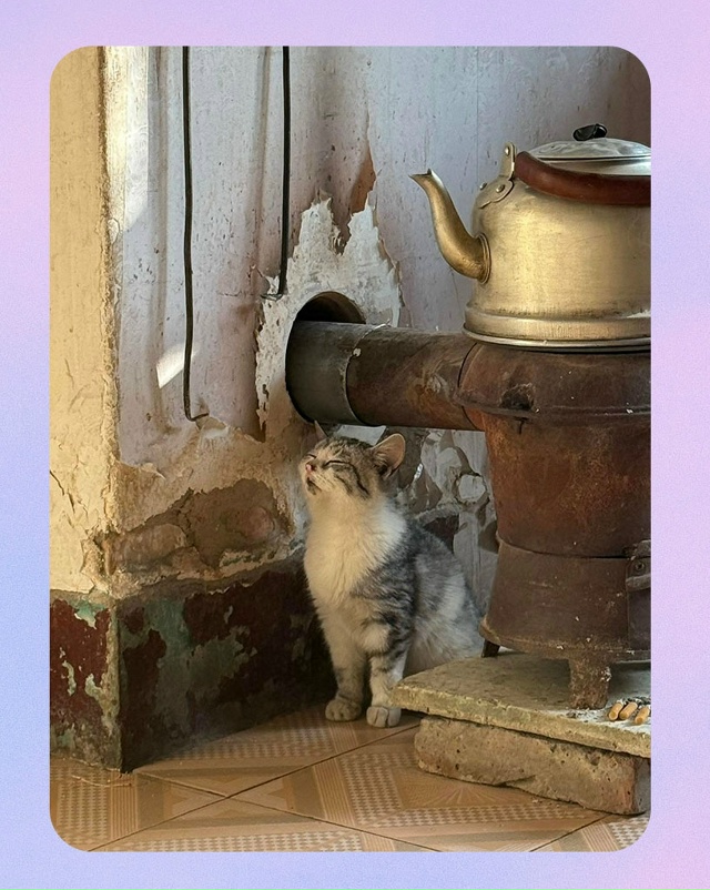 Когда ты – тот самый чувак, которому вечно холодно: