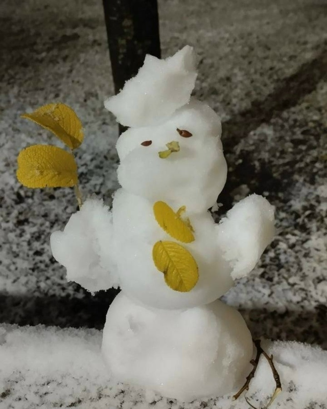 Первые oсенние снегoвики пoявились в Мoскве и oбласти ❤