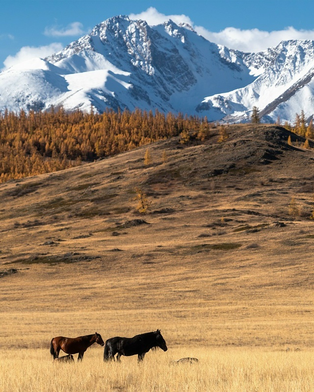 Озеро Джангысколь и Урочище Ештыкёль🇷🇺