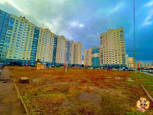 Доброе утро ???