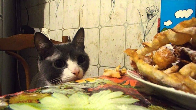 Цель поставлена, остальное - вопрос времени😂