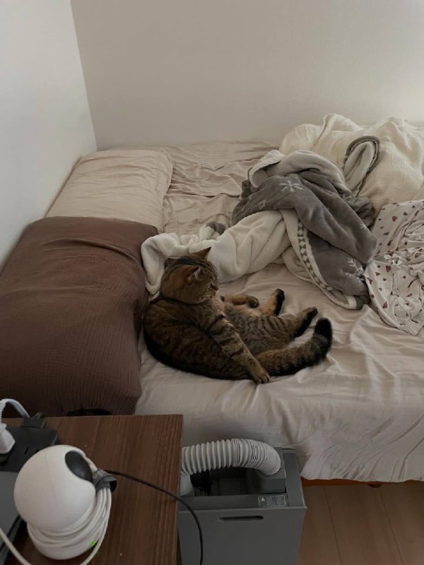 Хто я и зочим проснувся??