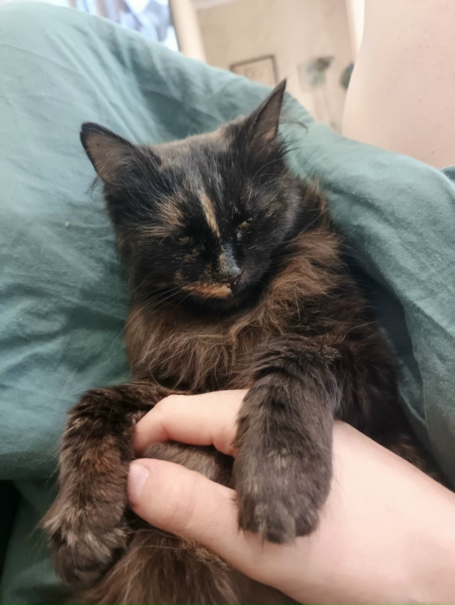 Отстань, кожаный, положи обратно