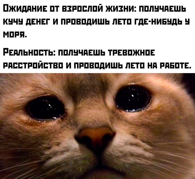 У меня так