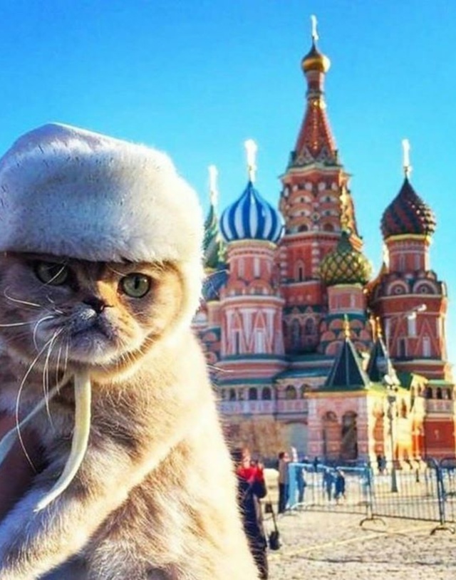 Сколько стран сможете назвать вы?