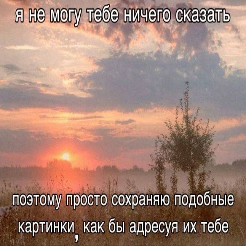 Утренняя подборочка