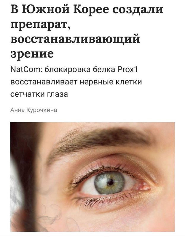 Зрение смогут восстанавливать без операций. Учёные из Южной Кореи создали препарат, который запускае