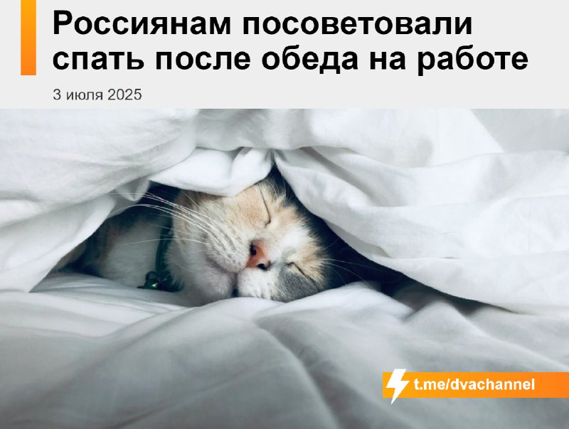 Россиянам посоветовали спать после обеда прямо на работе
Специалисты утверждают, что даже короткий