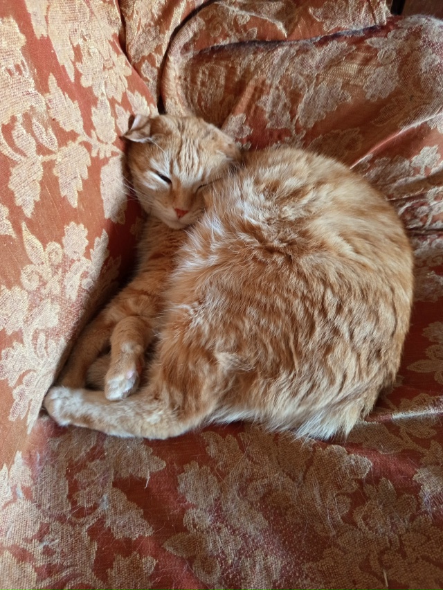 Нормальное состояние.