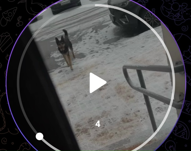 #ПотерялНашлиПомогите
1 Найдены документы Андреев Ар?...