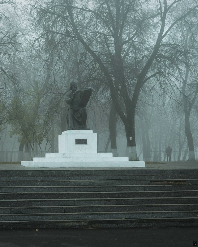 Tyмaнный дeнь вo Bлaдимиpe