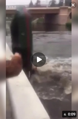 Саня, ты что сделал
