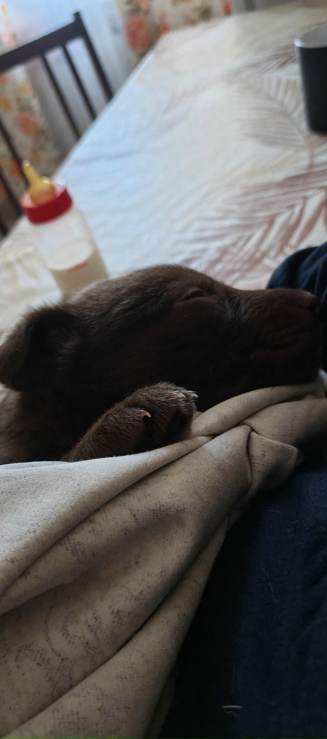 Здравствуйте!
Крики помощи!!
Добрые люди, найдитесь по?...