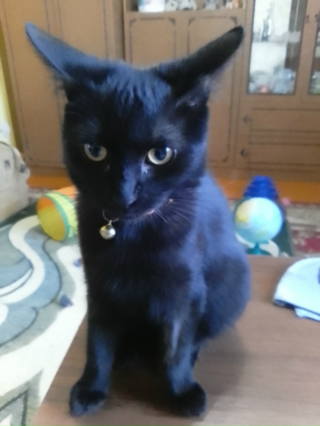 Чудесная девочка Черничка ищет надежных и заботливых ?...