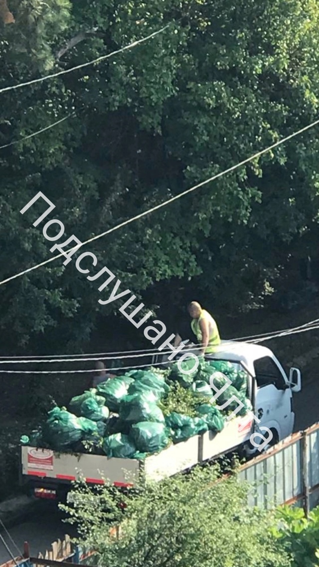 Я понять не могу , сколько можно пилить , рубить и резат?...