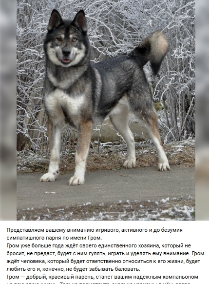 Пост добра. Распространите, пожалуйста.