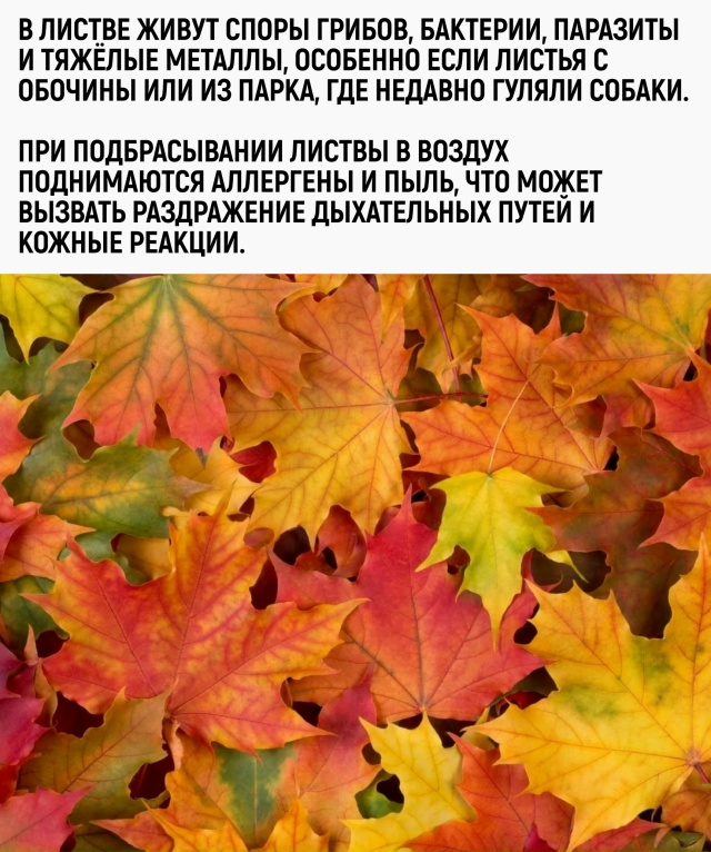 Золотая осень — золотое время, чтобы словить микоз, бр?...
