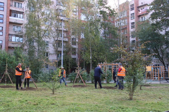 В Петергофе по заказу муниципалитета завершились комп...