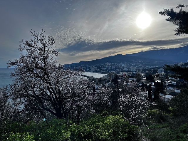 Эту сказку у нас кто-то забрал...
Теперь эти виды только ...