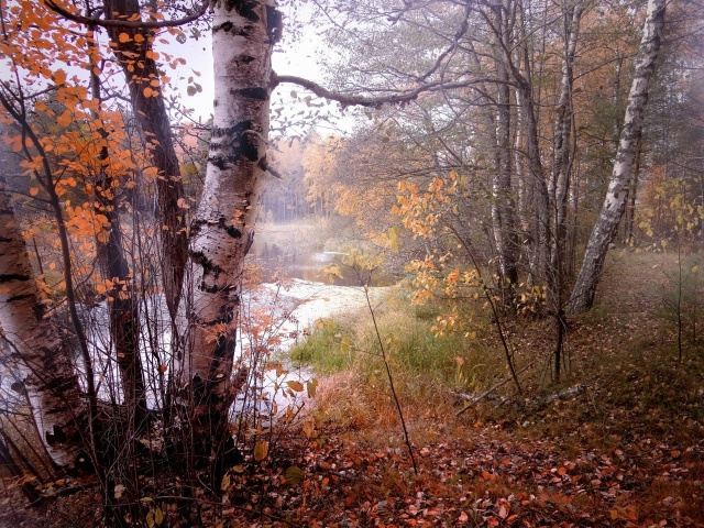 Доброй ночи, Никольск❤