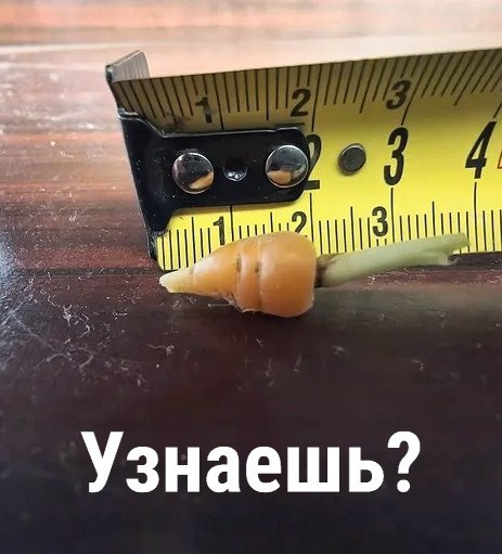 Утренняя подборочка