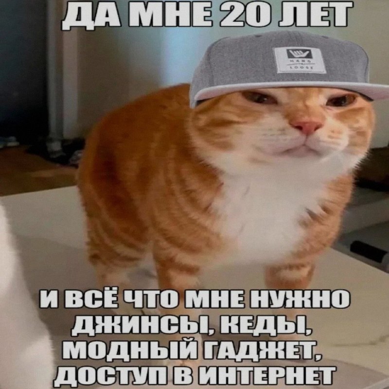 Ночная подборочка
Спать, режим