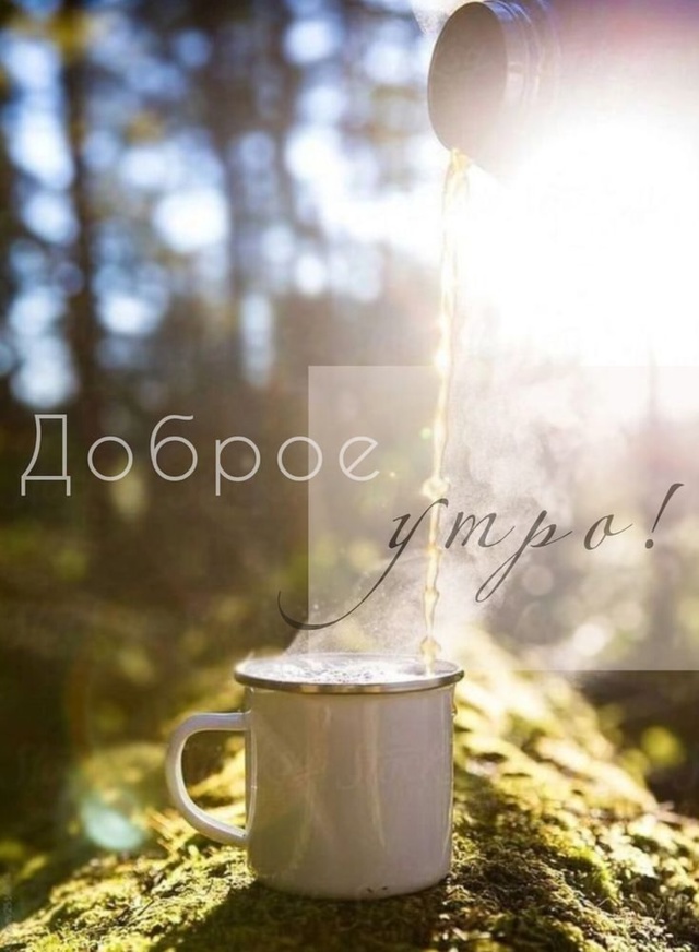 Доброе утро Подслушано!