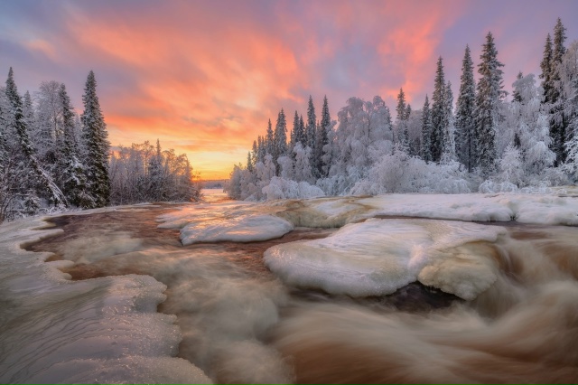 Кисельные реки, молочные берега...
Шовна, Ноябрь 2025
Фот?...