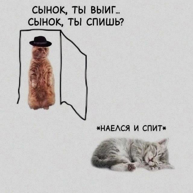 Ночная подборочка
Спать, режим