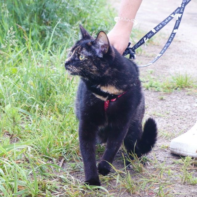 Очаровательная Мия очень ждет встречи со своей семьей?...