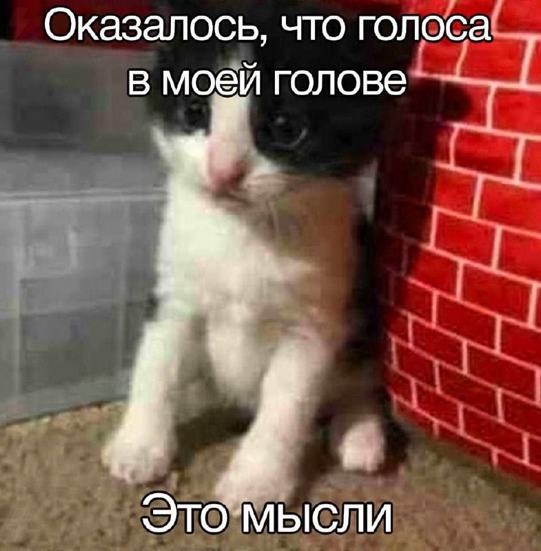 Утренняя подборочка