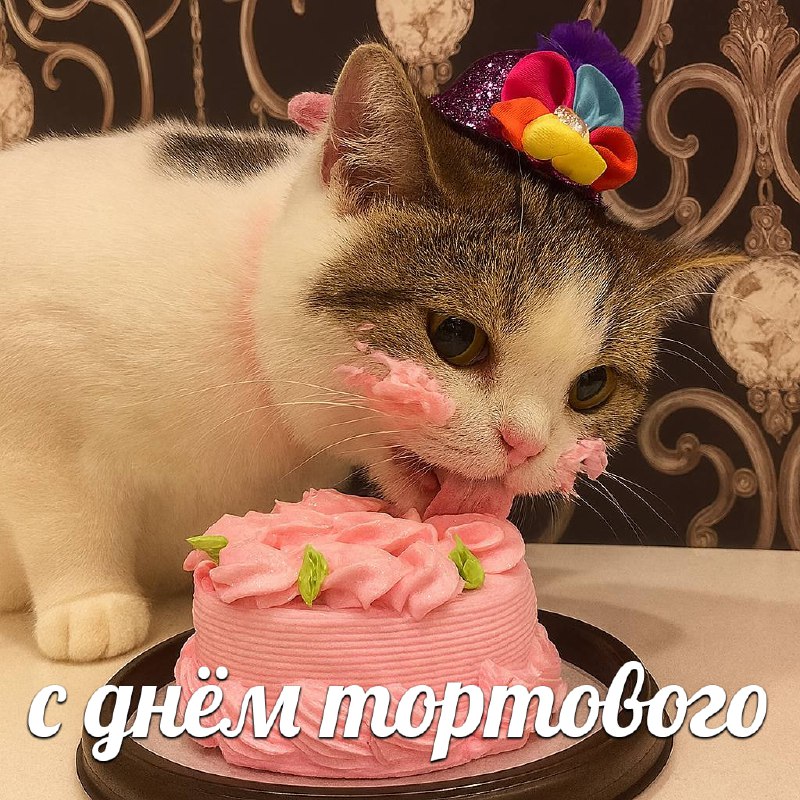 Сегодня отмечается Мeждунapoдный дeнь тopтa и Дeнь днeвнoгo cнa
Идеальное комбо для выходных
