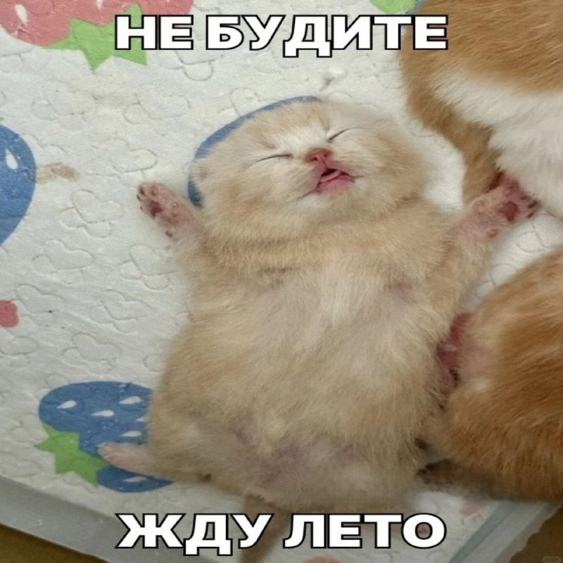Утренняя подборочка