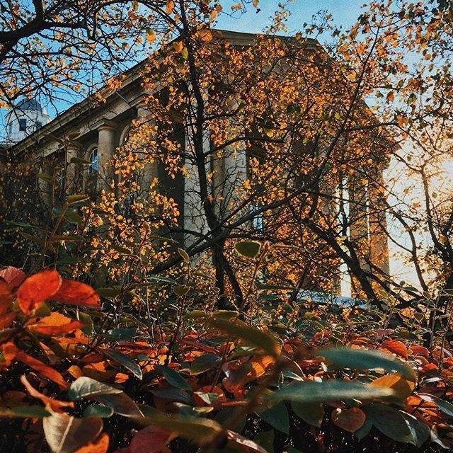 Золотая ocень и УрФУ 🍁