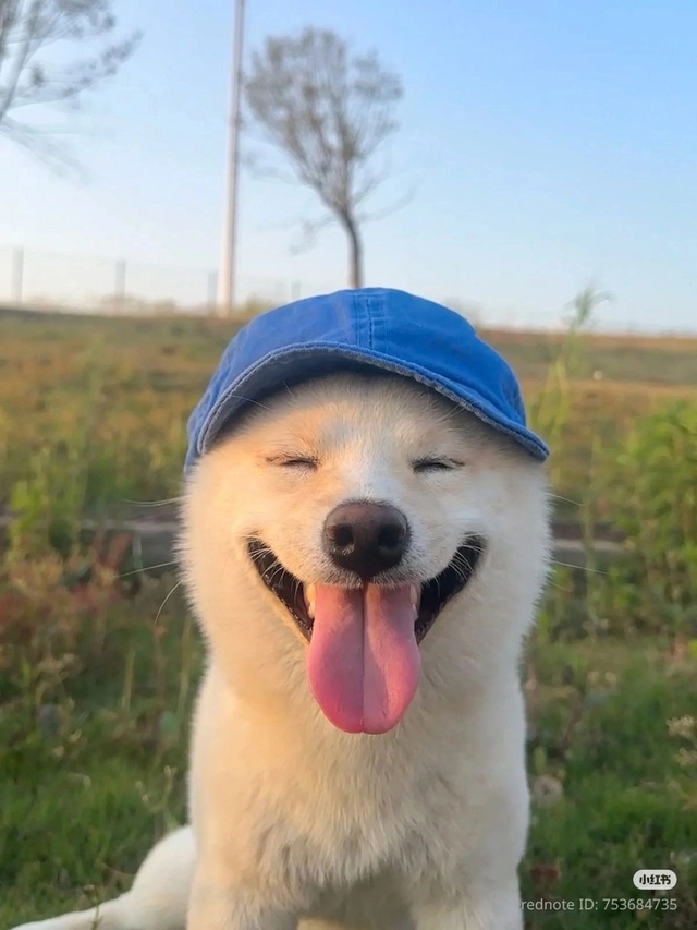 Хороший мальчик смотрит на хорошего человека