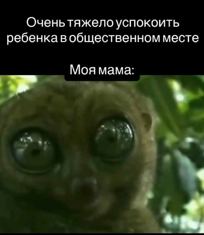 одного взгляда хватает