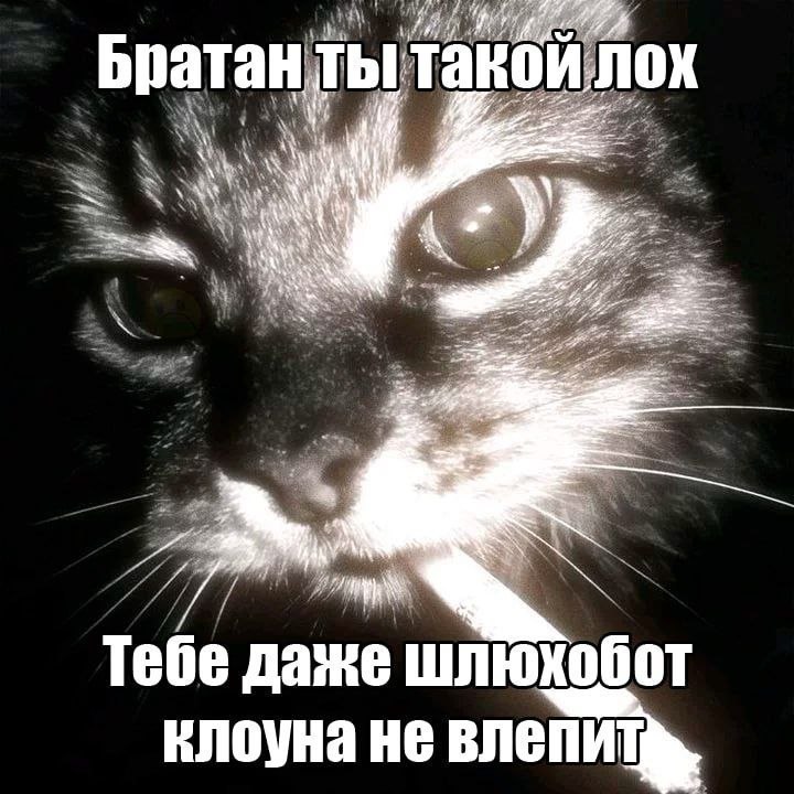 Утренняя подборочка