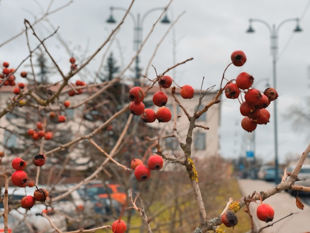 Всем доброе воскресное утро Волоколамцы😍