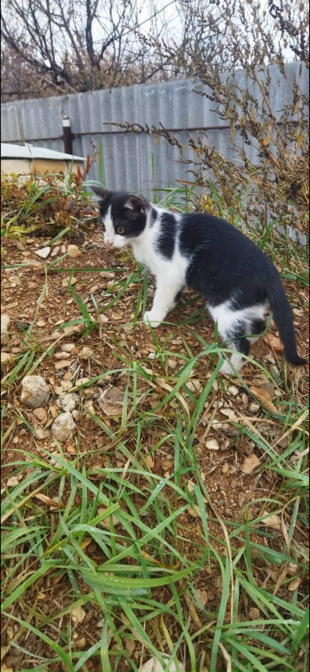 Мы сейчас живем с вами в какое то особое время,время ки?...