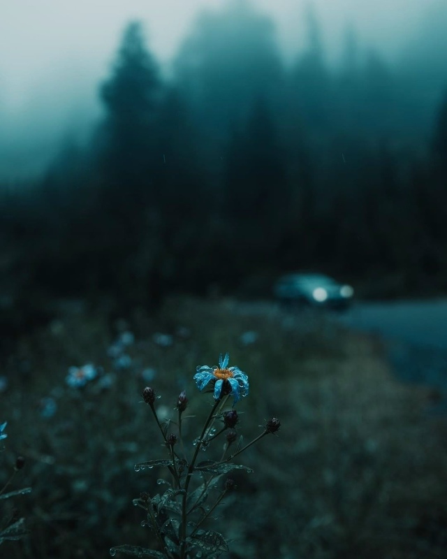 Попробуй!
— Попробуй не пить кофе и чай в течение дву?...