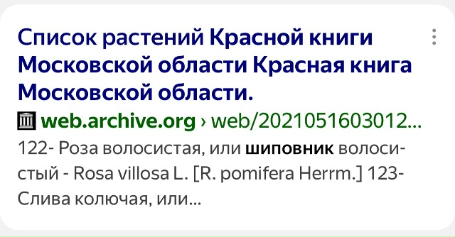 Анонимно. Средь бела дня товарищ просто подъехал , откр...
