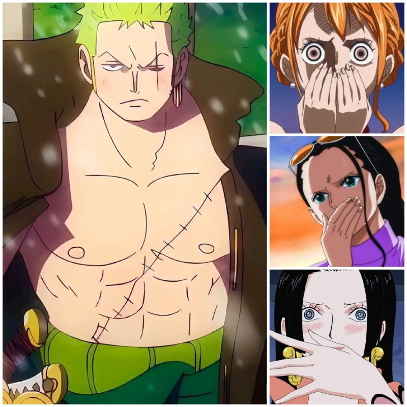 📏На протяжении всей истории автор «Ван-пис» раскрывает обхват груди только четырех персонажей: ♀️