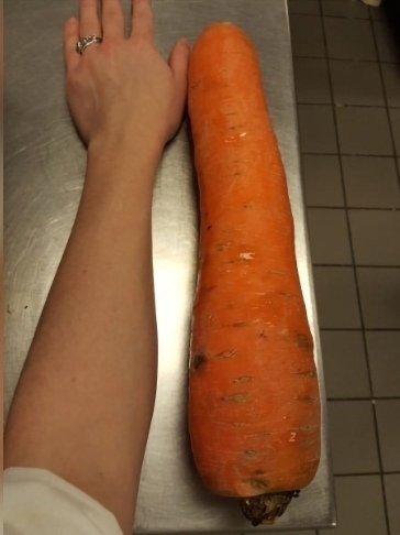 🥕 Жена решила удивить мужа в постели морковкой — но п?...