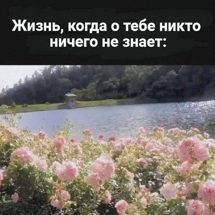 Утренняя подборочка