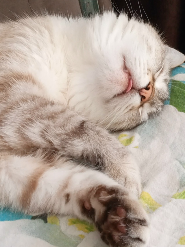 Мамин слатулька ,сладко спит!