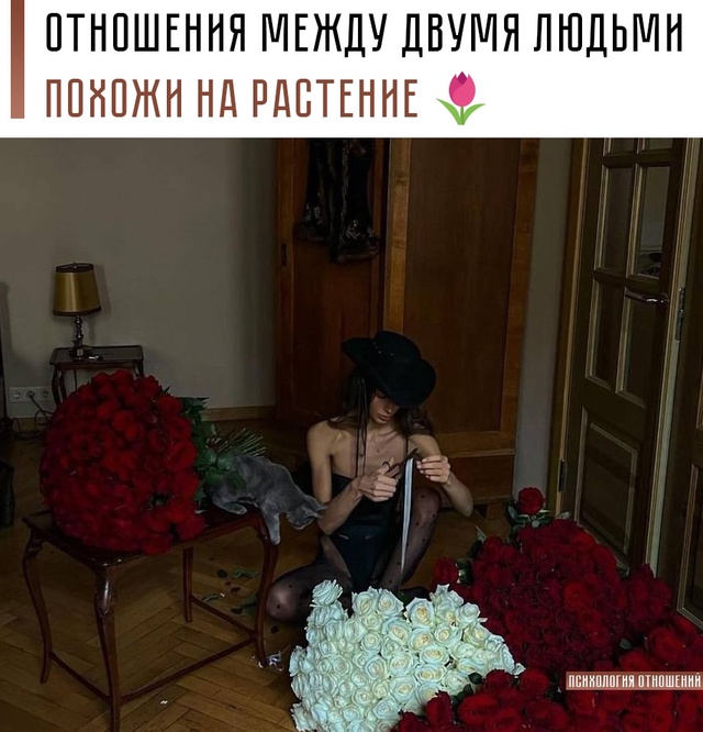 ☝ За ними надо ухаживать, поливать любовью, подкармлив...