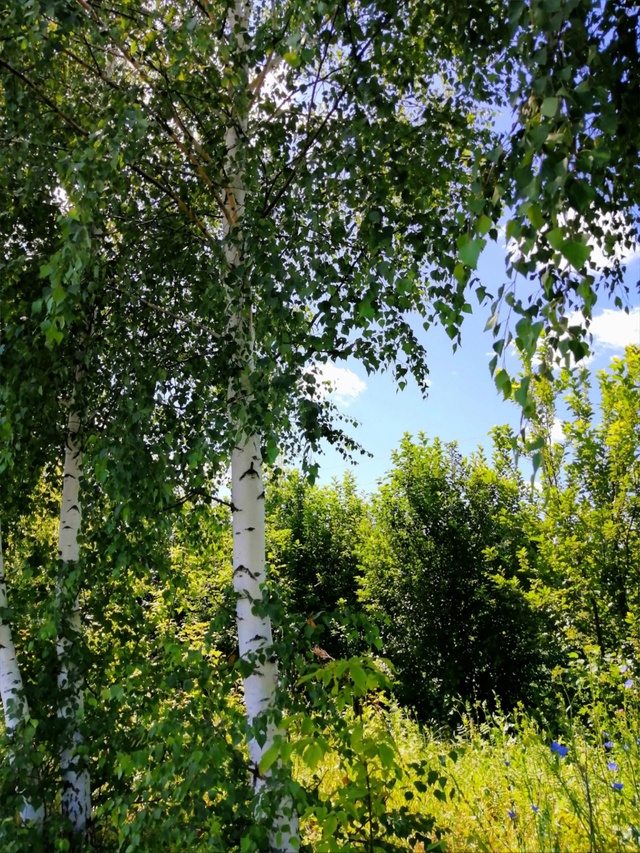 Доброй ночи, Никольск❤