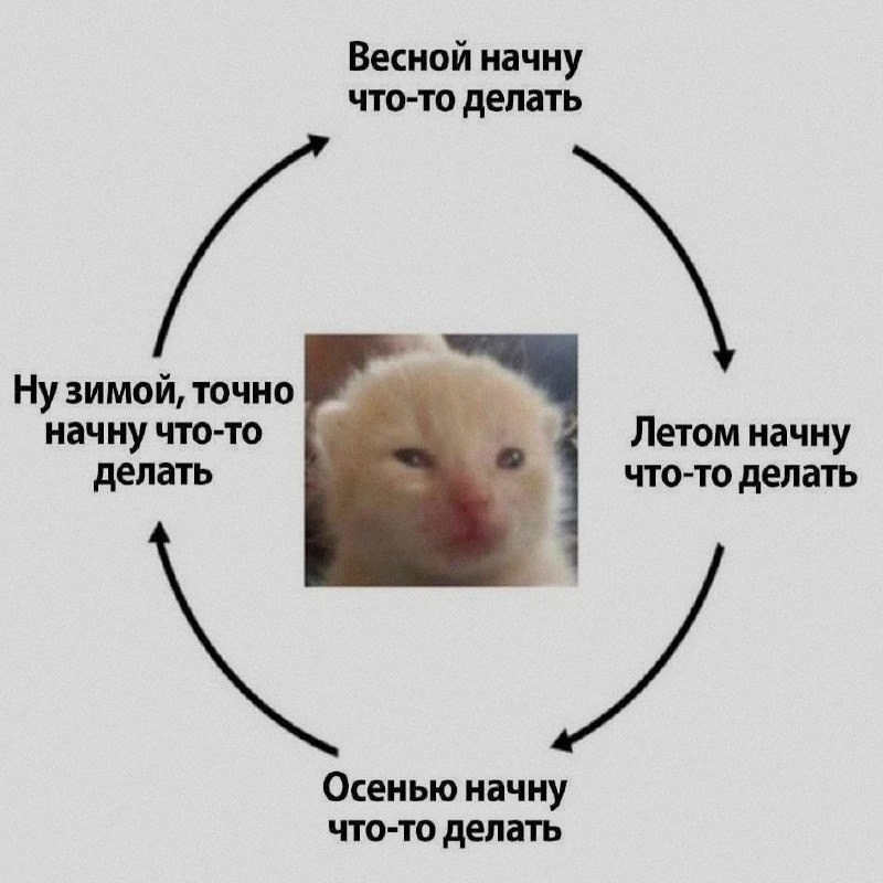 Ночная подборочка
Выходные, не спим