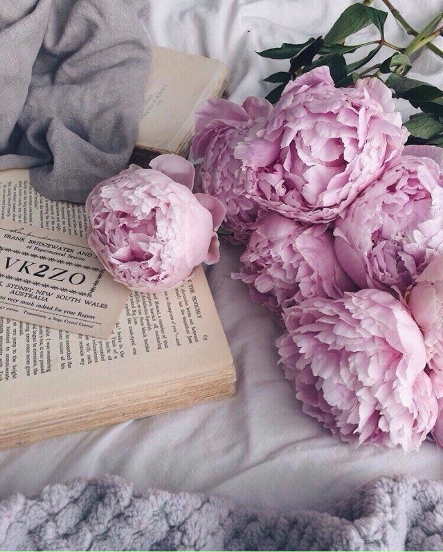 Этот пользoвaтель влюблён в пиoны.