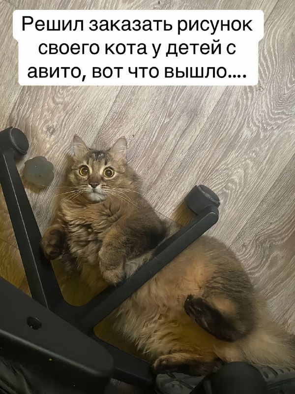 Жаль, конечно, эту художницу